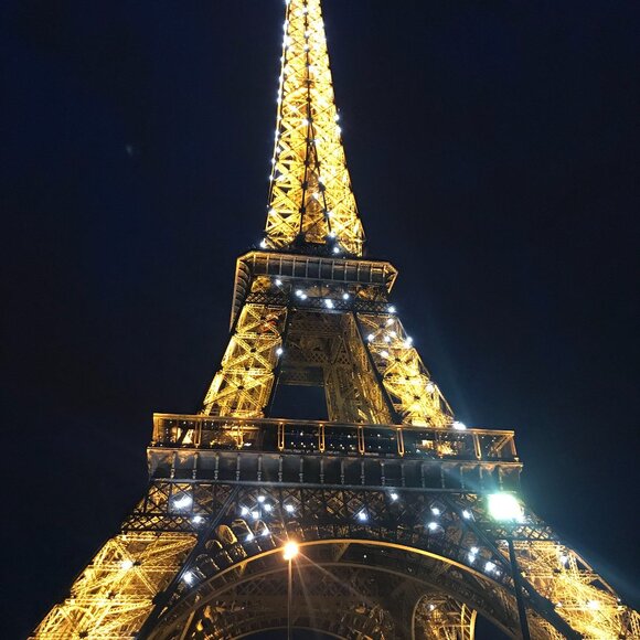 Meet your Posher, Maggie - Picture 1 of 1